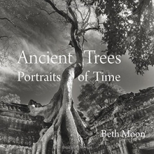 Cover art for Ancient Trees: Portraits of Time