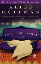Cover art for The Third Angel: A Novel