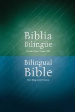 Cover art for Biblia bilingue RVR1960 / NKJV (Spanish Edition)