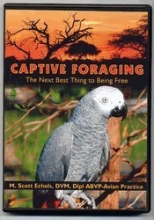 Cover art for CAPTIVE FORAGING: DVD