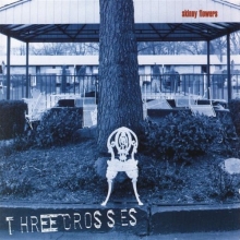 Cover art for Skinny Flowers