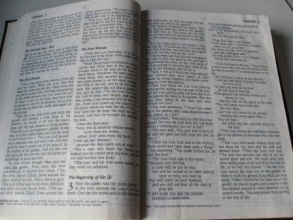 Cover art for The Holy Bible - New Century Version