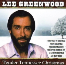 Cover art for Tender Tennessee Christmas