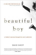 Cover art for Beautiful Boy: A Father's Journey Through His Son's Addiction