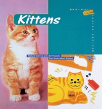 Cover art for Kittens (Animal Babies (Barron))