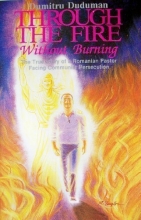 Cover art for Through the Fire Without Burning