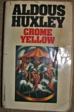 Cover art for CROME YELLOW (FLAMINGO MODERN CLASSICS)