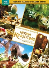 Cover art for Hidden Kingdoms 