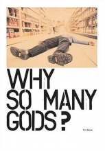 Cover art for Why So Many Gods?