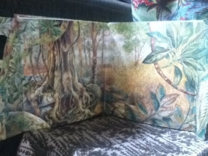 Cover art for Nature Hide & Seek:  Jungles (Nature Hide and Seek)