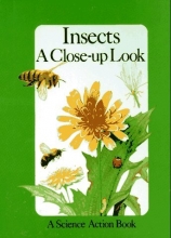 Cover art for INSECTS (Science Action Book)