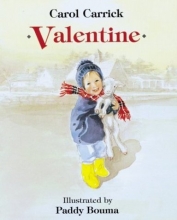 Cover art for Valentine
