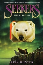 Cover art for Seekers #5: Fire in the Sky