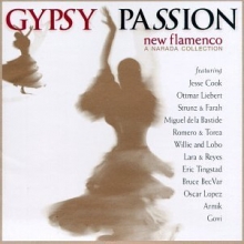 Cover art for Gypsy Passion: New Flamenco (Narada Collection Series)