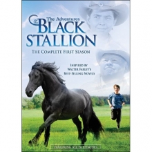 Cover art for The Adventures of The Black Stallion: Season 1