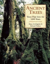 Cover art for Ancient Trees: Trees That Live For 1,000 Years