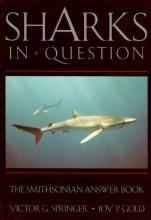Cover art for Sharks in Question  (Smithsonian Answer Books)