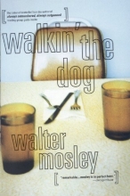 Cover art for Walkin' the Dog