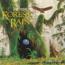 Cover art for Forest Rain