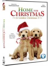 Cover art for Home For Christmas: A Golden Christmas 3