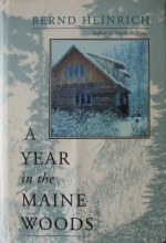 Cover art for A Year in the Maine Woods