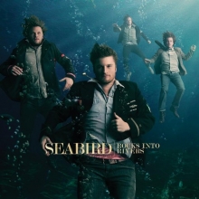 Cover art for Rocks Into Rivers