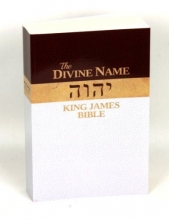 Cover art for Divine Name King James Bible