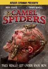 Cover art for Camel Spiders