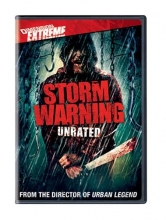 Cover art for Storm Warning 