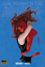 Cover art for Spider-Man: One Moment in Time (Amazing Spider-Man)