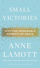 Cover art for Small Victories: Spotting Improbable Moments of Grace
