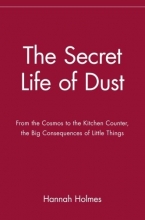Cover art for The Secret Life of Dust: From the Cosmos to the Kitchen Counter, the Big Consequences of Little Things