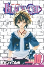 Cover art for Black Cat, Vol. 10