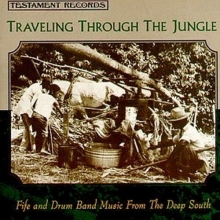 Cover art for Traveling Through the Jungle