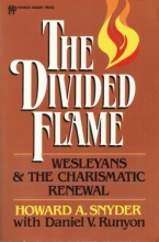 Cover art for The Divided Flame: Wesleyans & the Charismatic Renewal
