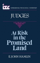Cover art for At Risk in the Promised Land: A Commentary on the Book of Judges (International Theological Commentary)