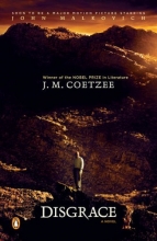 Cover art for Disgrace: A Novel