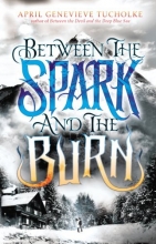 Cover art for Between the Spark and the Burn (Between the Devil and the Deep Blue Sea)