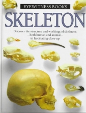 Cover art for Skeleton (Eyewitness Books)