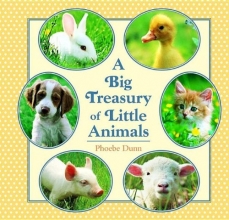 Cover art for Big Treasury of Little Animals (Random House Picturebacks)