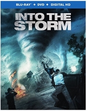Cover art for Into the Storm 