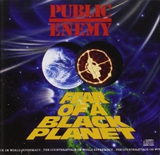 Cover art for Fear of a Black Planet