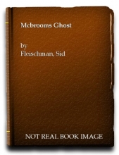 Cover art for McBroom's Ghost