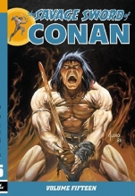 Cover art for Savage Sword of Conan Volume 15