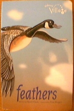 Cover art for Feathers