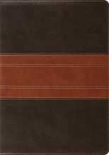 Cover art for ESV Study Bible (TruTone, Forest/Tan, Trail Design)