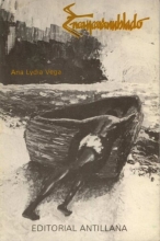 Cover art for Encancaranublado y otros cuentos de naufragio