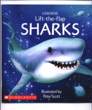 Cover art for Usborne Lift-the Flap Sharks