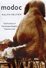 Cover art for Modoc: The True Story of the Greatest Elephant That Ever Lived