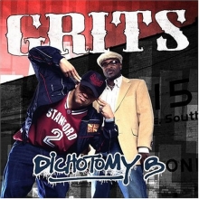 Cover art for Dichotomy B